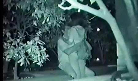 深夜に眠っている鶏。 女 自慰 動画