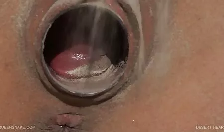 彼は犬にブロンドを与えた。 魔性 の 女 エロ 動画